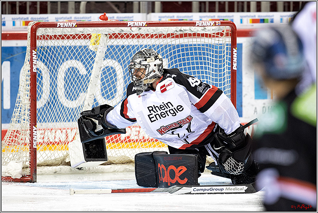 PENNY DEL; Duesseldorfer EG - Koelner Haie; Duesseldorf, 23.01.2022